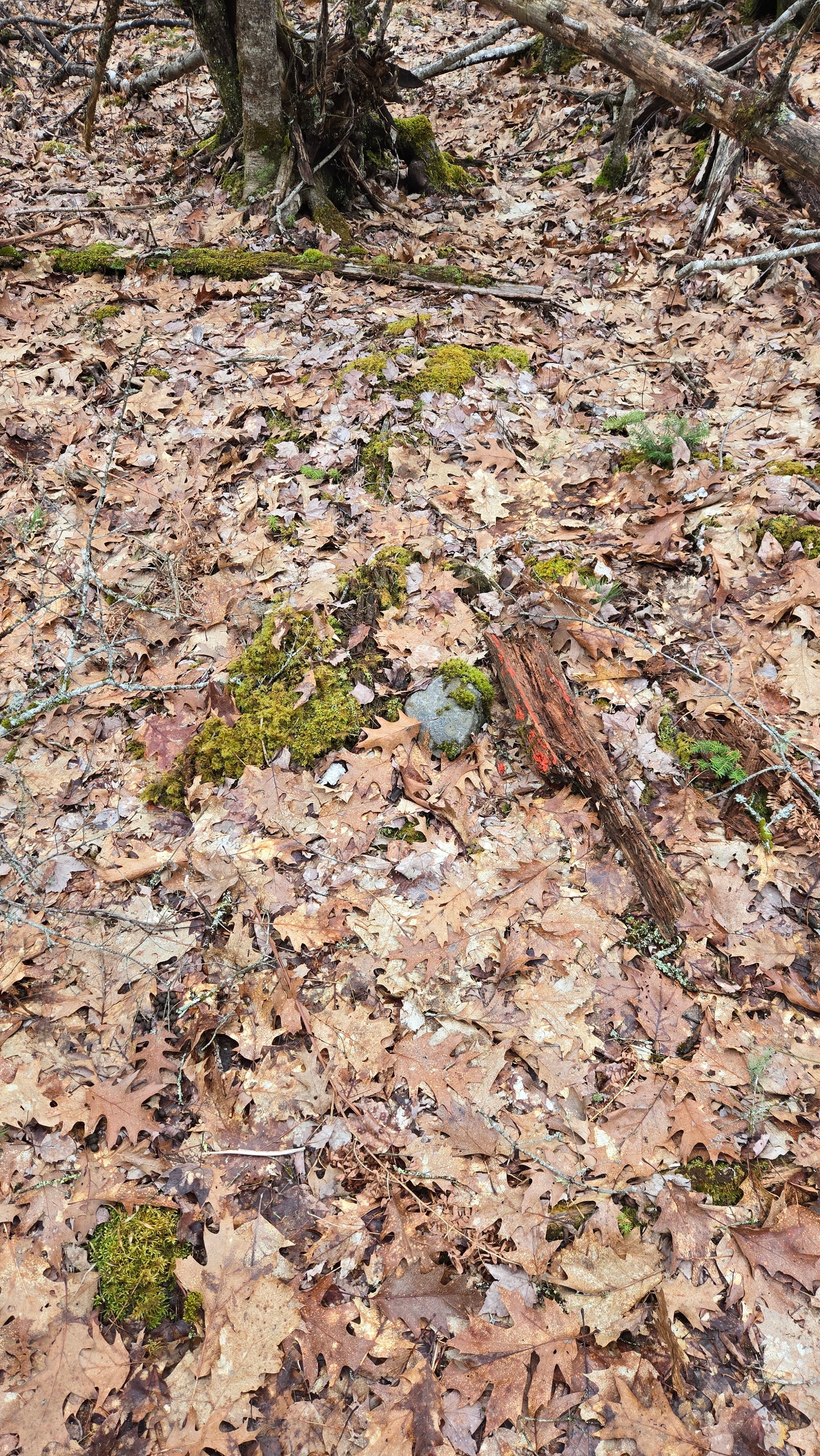 Original corner post remains — decayed wood post and stone pile as found