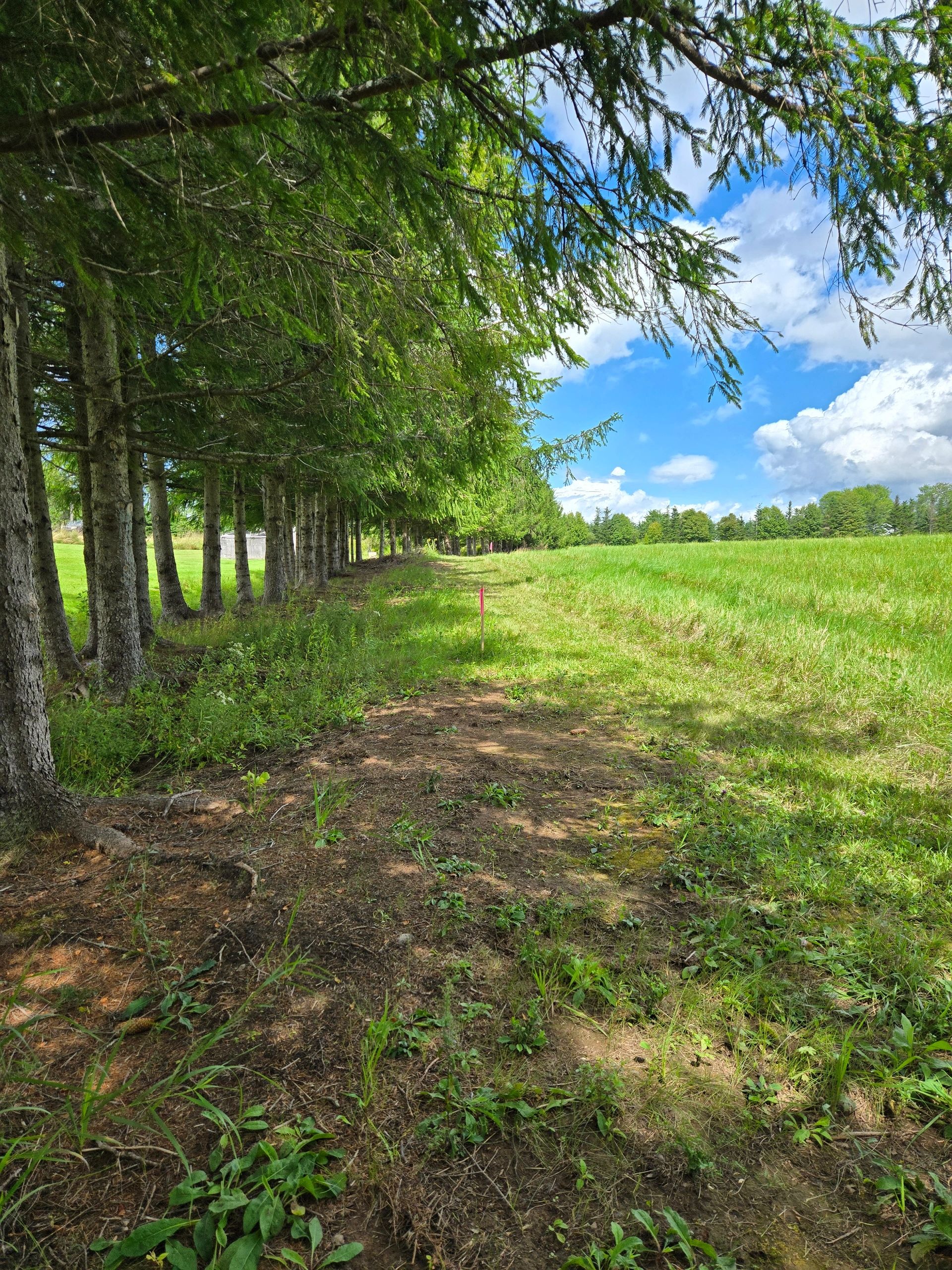 Rural Nova Scotia countryside landscape