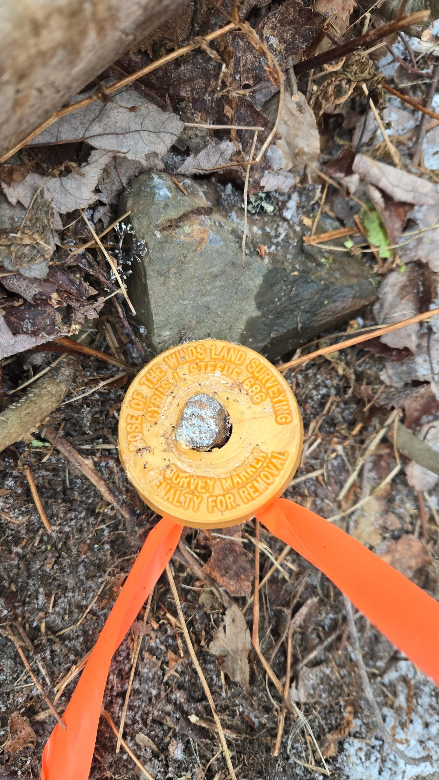 Land surveyor measuring boundary in field