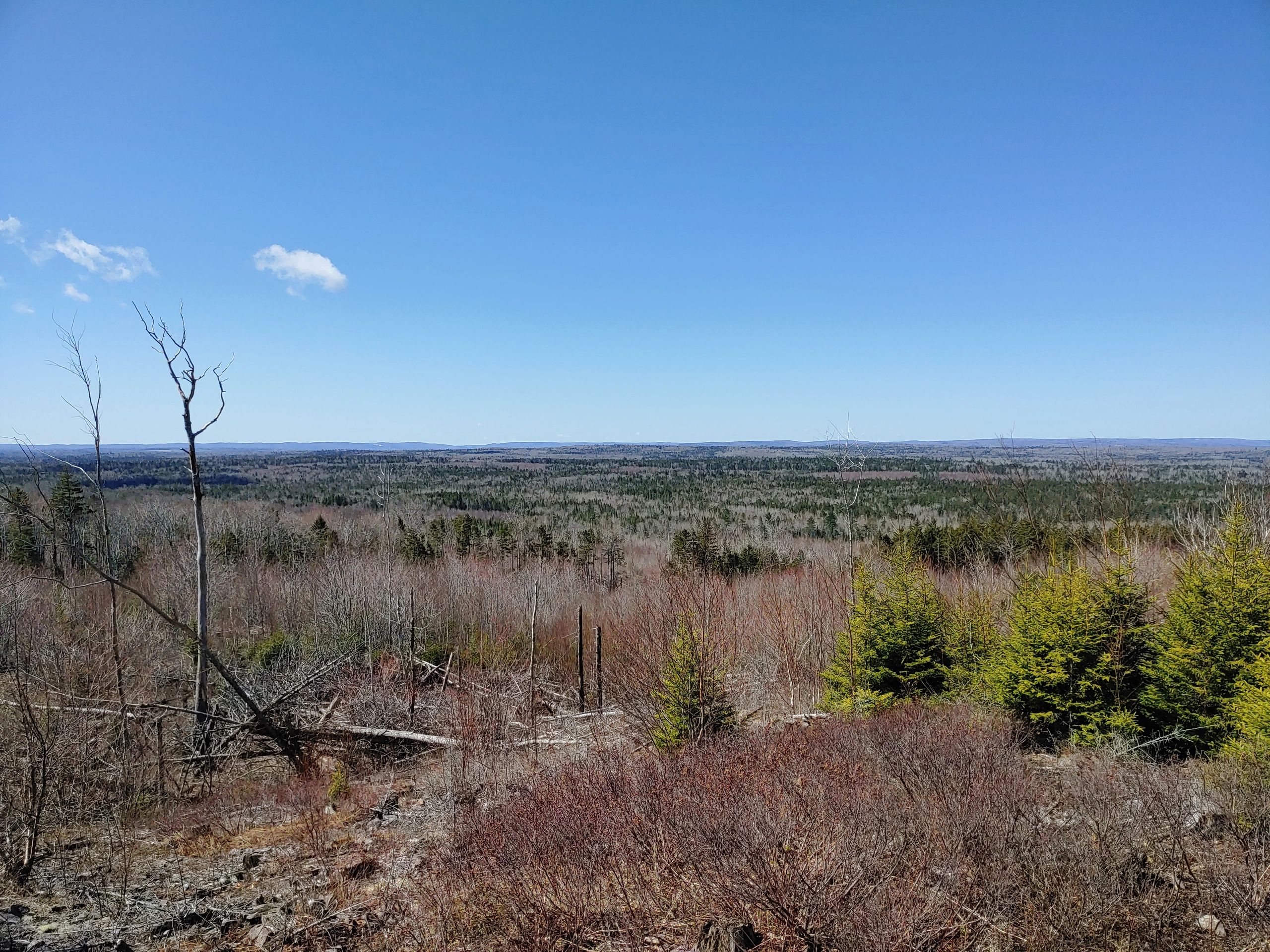 Panoramic forested valley in central Nova Scotia
