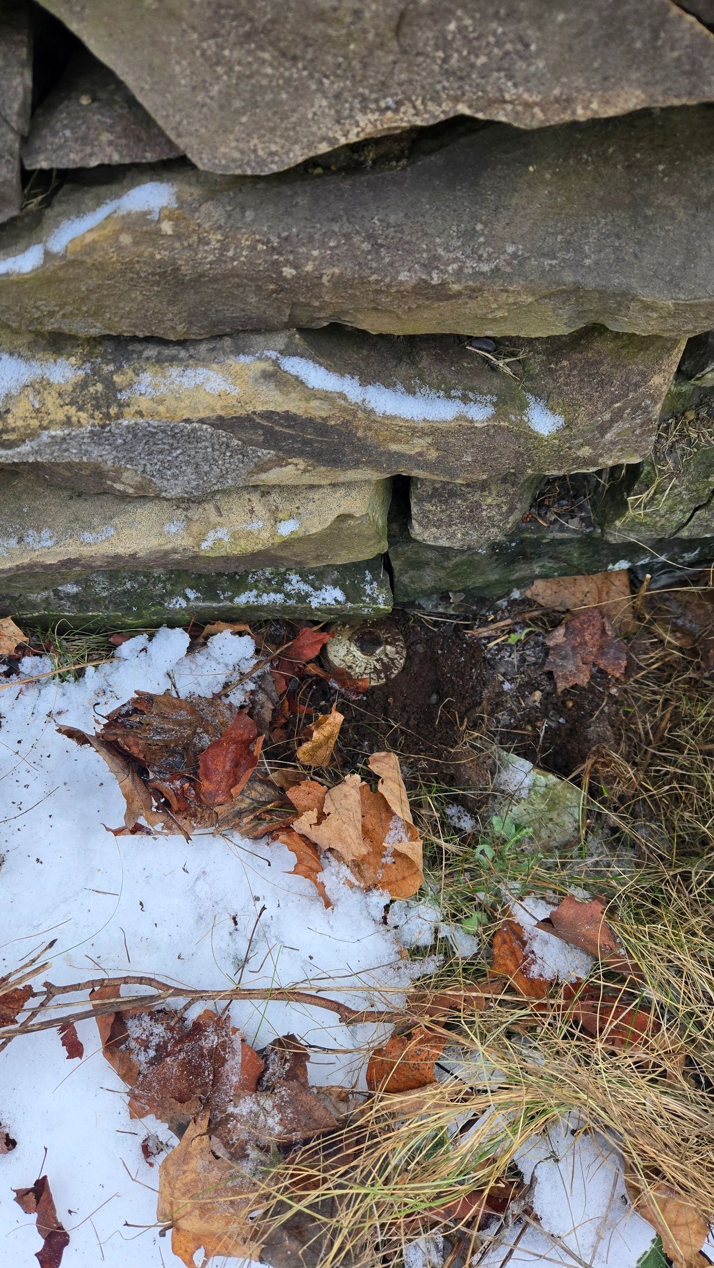 Weathered stone tiles with moss and lichen, autumn leaves below