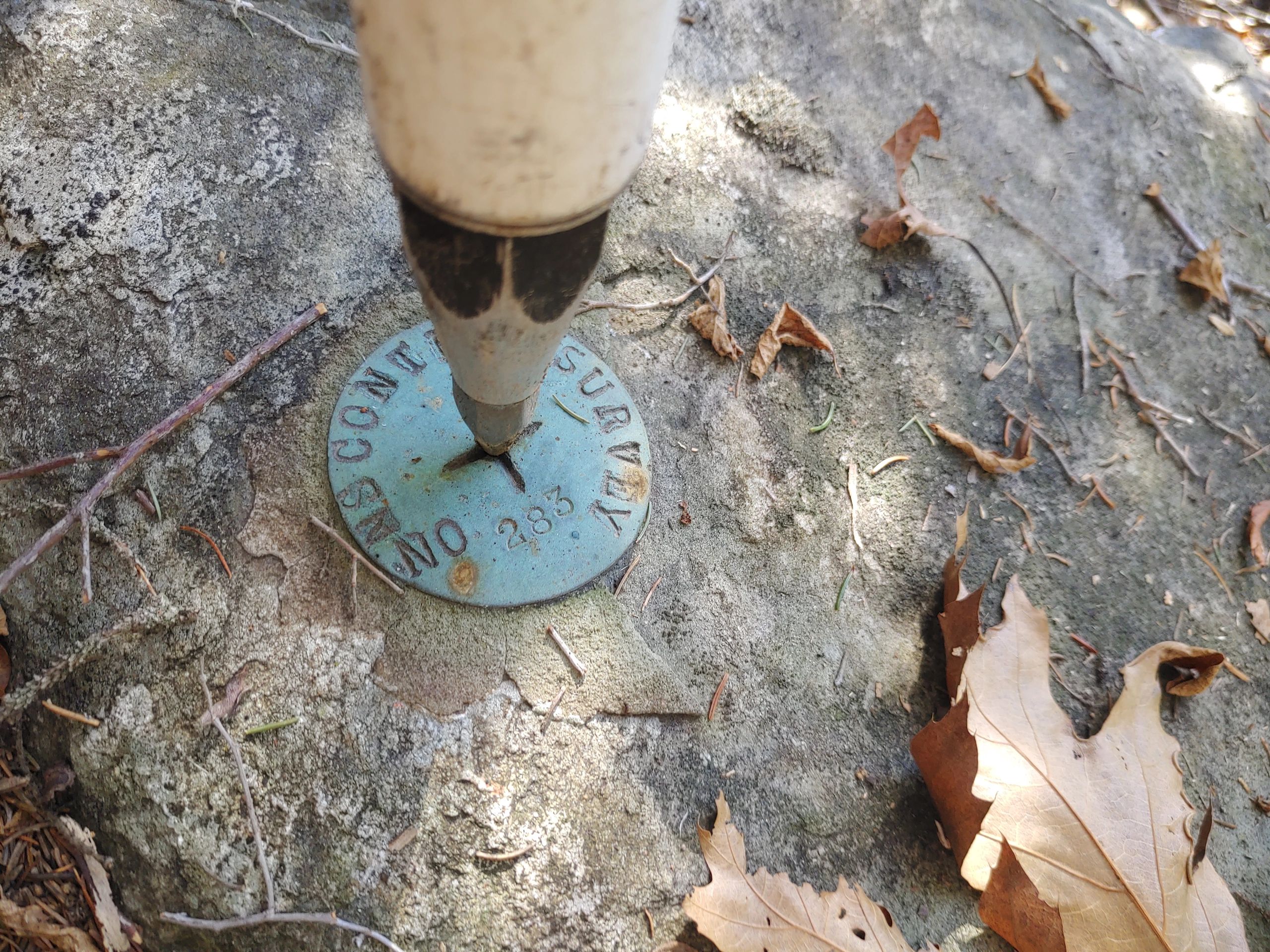 Blue benchmark disk on concrete with surveying rod